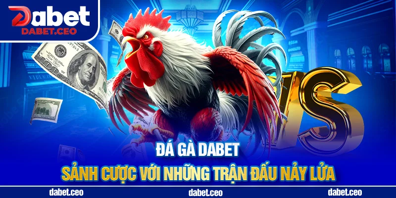 giới thiệu đá gà dabet
