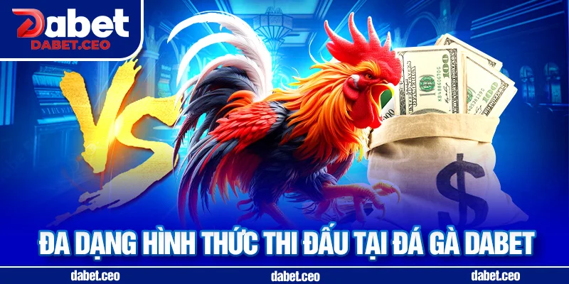hình thức đá gà dabet